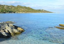 estate viaggi viaggio mare pexels