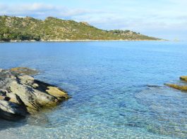 Estate 2026: gli italiani scelgono le mete con l’aiuto dell’intelligenza artificiale estate viaggi viaggio mare pexels