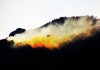 Incendi boschivi: l’IoT può ridurre di oltre il 50% la superficie colpita incendi