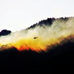 Incendi boschivi: l’IoT può ridurre di oltre il 50% la superficie colpita incendi