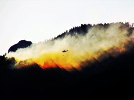 Incendi boschivi: l’IoT può ridurre di oltre il 50% la superficie colpita incendi