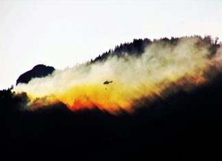 Incendi boschivi: l’IoT può ridurre di oltre il 50% la superficie colpita incendi
