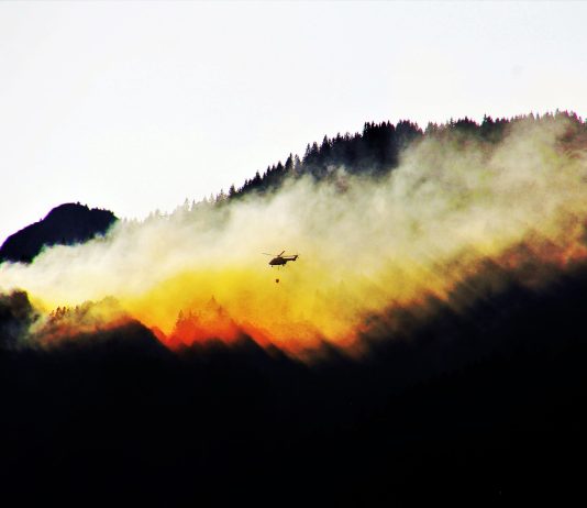 Incendi boschivi: l’IoT può ridurre di oltre il 50% la superficie colpita incendi