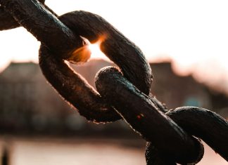 Qualità, tracciabilità e compliance: perché il controllo della supply chain è strategico supply chain unsplash