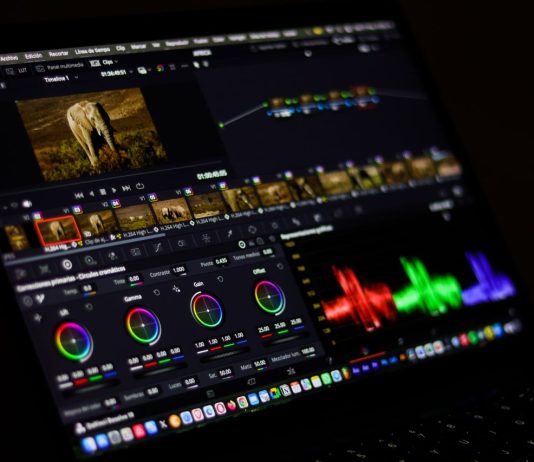generatori video pexels