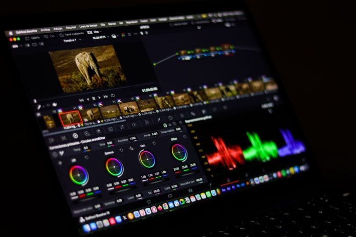 generatori video pexels generatori video pexels