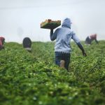 agricoltura agricoltori unspalsh