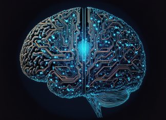 Private AI: la nuova frontiera dell’intelligenza artificiale intelligenza artificiale AI Private AI - agentic AI agenti - pixabay