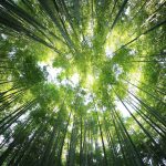 resilienza climatica sostenibilità unsplash