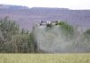 Agritech: i 4 mercati esteri dove la tecnologia italiana può accelerare la crescita dell’export Agritech