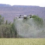 Agritech: i 4 mercati esteri dove la tecnologia italiana può accelerare la crescita dell’export Agritech