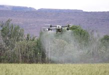 Agritech: i 4 mercati esteri dove la tecnologia italiana può accelerare la crescita dell’export Agritech