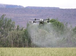 Agritech: i 4 mercati esteri dove la tecnologia italiana può accelerare la crescita dell’export Agritech