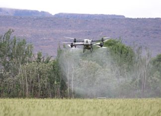 Agritech: i 4 mercati esteri dove la tecnologia italiana può accelerare la crescita dell’export Agritech