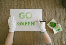Greenwashing sostenibilità pexels