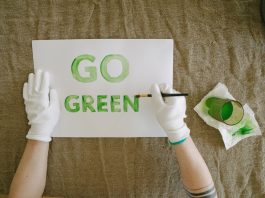 Greenwashing sostenibilità pexels