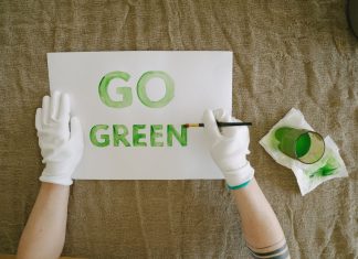 Greenwashing: sanzioni fino a 10 milioni per i furbetti Greenwashing sostenibilità pexels