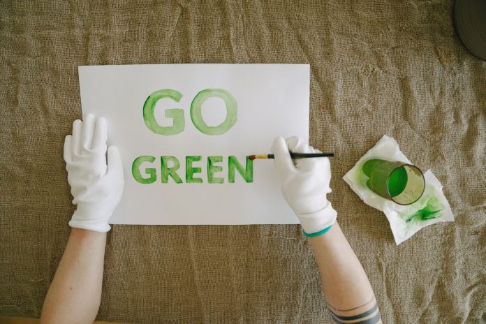 Greenwashing sostenibilità pexels Greenwashing sostenibilità pexels