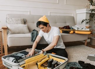 Cervelli in fuga: i trasferimenti globali di professionisti qualificati calati del 11,6% nel 2025 Cervelli in fuga viaggi - pexels
