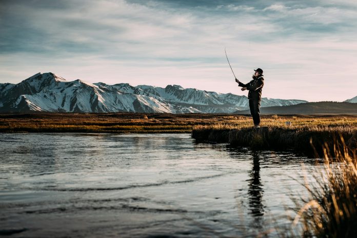 pesca pescare unsplash pesca pescare unsplash