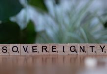 sovranità digitale pexels