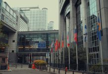 pubblica amministrazione PA pexels