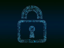 Cybersecurity: si riduce il divario tra PMI e grandi imprese Cybersecurity pixabay